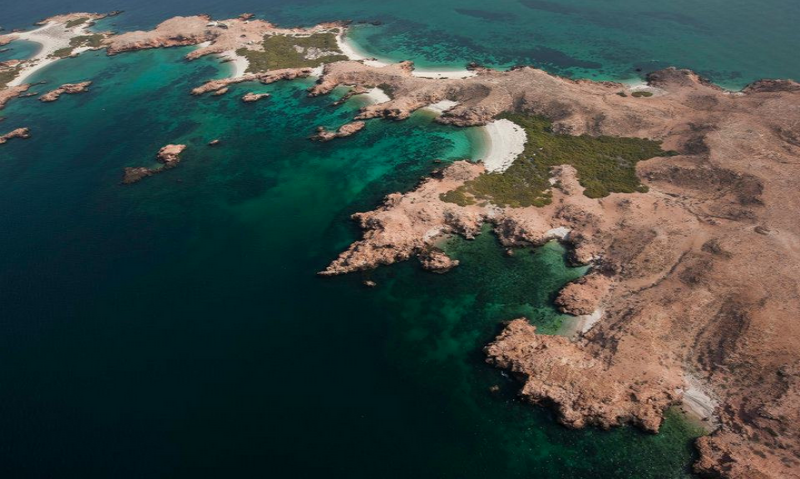 Al-Dimaniyat-Islands-Nature-Reserve