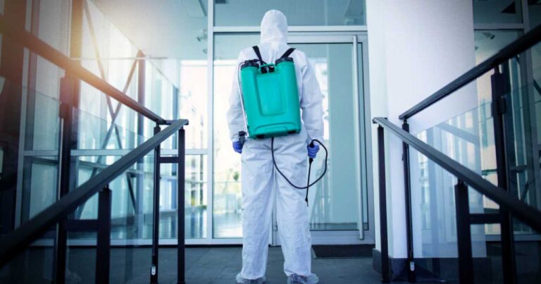 18 Best Pest Control Services in Oman